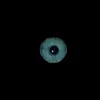 user1102036031702