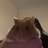 ollie0310