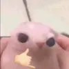 teteo.pecinha