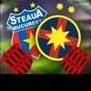 steauaenumaiuna4