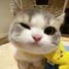 nrhbbah._5