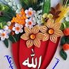 user4627830199861