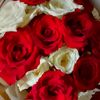 asmaa.mamdou
