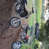 the_red_dodge