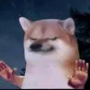 zakusgg