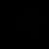 islamziani01