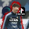 hal_ak1