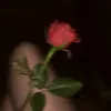 licia.___