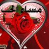 user2009334336504