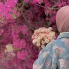 fayf85