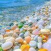 user6111400138771