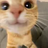l0tt259