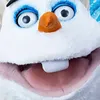 whoswaschbar