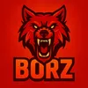 borz40234