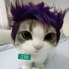 sosoxzj_47mah