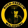 jaszczurek_v2