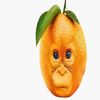 mandarinnasalvaje