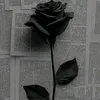 ♡نـجـ℘ـمة☆