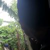 onana0105504