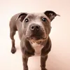 🩶 🦭 Winnie 🦭 🩶