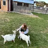 .ruby.landell.spam