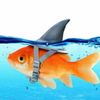 thegoldfish784