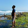 widyaagungnugraha