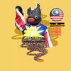 sapuan.wan14