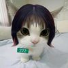 kanae__kochooo