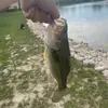 basisisfishing1