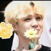 park.layla.jeon.k