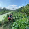 phunguyen96820