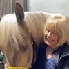 horse.lover839