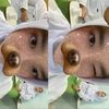 cellariess