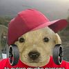 Sanosky_Prime2