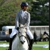 k_yourfavgreypony