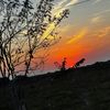 _xmilyy123