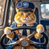 orange.cat2067