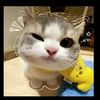 zyah_31