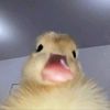 mmhnayy0
