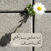 user65700772415337