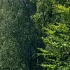 zangarabalalmangaramalal