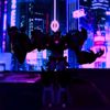 k_nightshade