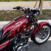 faisal_123.0