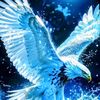 user1208033224032