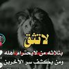 user37502478570984