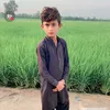 mianwaleed7867