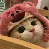dogichunggchiy2