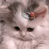 c.u.a.cute