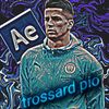 trossard_pio